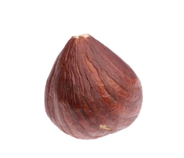 Detailní záběr ořech. — Stock fotografie
