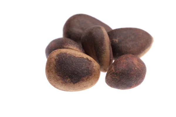 Zblízka borovicové ořechy. — Stock fotografie