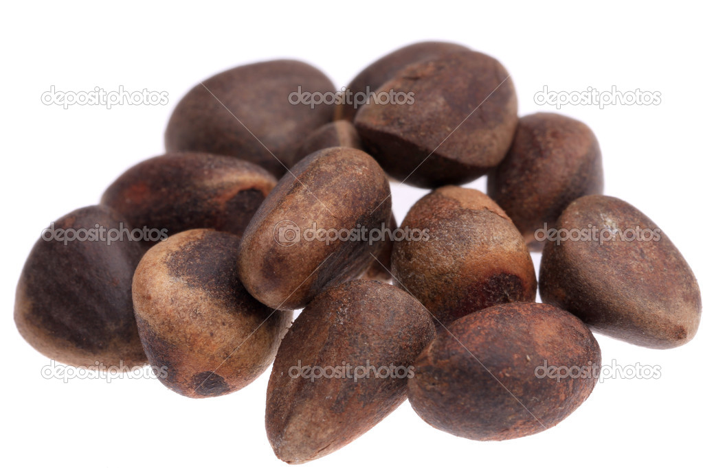 Bunch of pine nuts.