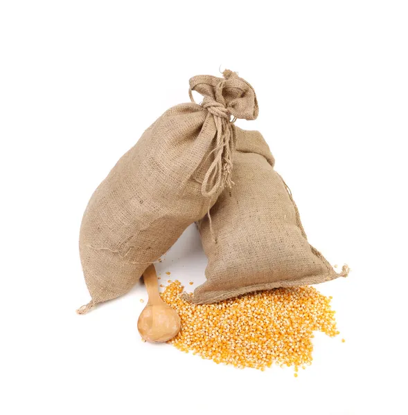 Two sacks with corn grains. — Stock Image Two sacks with corn grains. Royalty Free Stock Images
