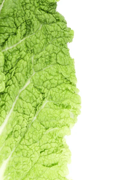 Close up leaf of chenese cabbage. — Stock Photo, Image