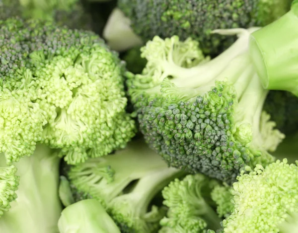 Close up of fresh broccoli. — Stock Photo, Image