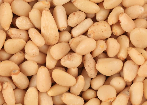 Bunch of pine nuts. — Stock Photo, Image