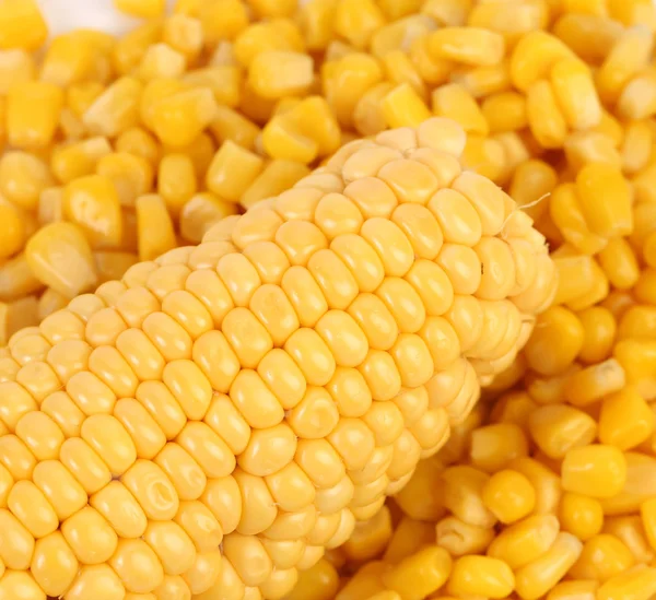 Вкусная желтая уха кукурузы . — стоковое фото
