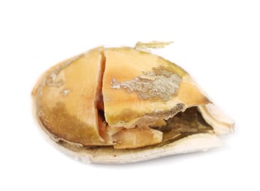 yakın çekim içinde kızarmış kabak çekirdeği