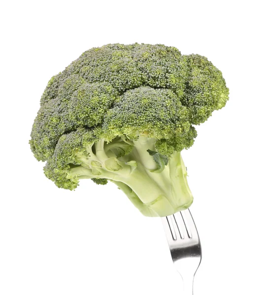 Fresh broccoli on a fork. — Stock Photo, Image