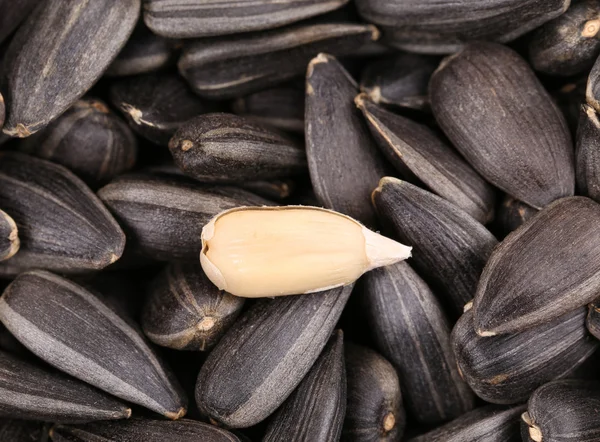Background of some sunflower seeds. — Stock Photo, Image