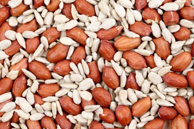 Fıstık ve ayçiçeği tohumu IP kapatın.