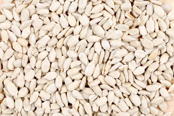 Close up of sunflower seeds. — Stock Photo, Image