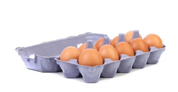 Ten eggs in a blue carton box. — Stock Photo, Image