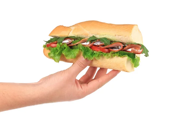 French baguette sandwich in hands. — Stock Photo, Image