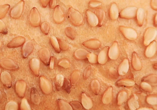 Pão com sementes de gergelim. — Fotografia de Stock