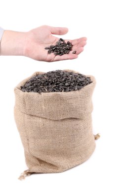 çuval ve ayçiçeği tohumu.