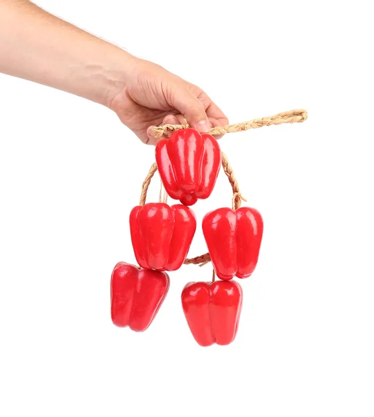 Künstliche rote Paprika. — Stockfoto