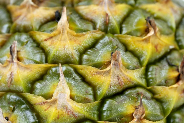 Bakgrund av ananas hud. — Stockfoto