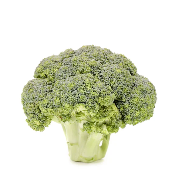 Verse broccoli groente. — Stockfoto