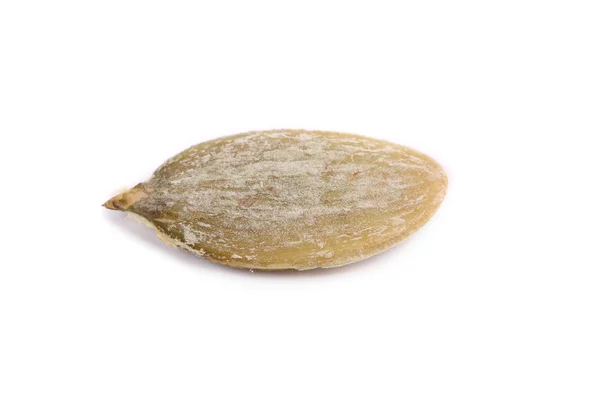 Close up of pumpkin seed. — Stock Photo, Image