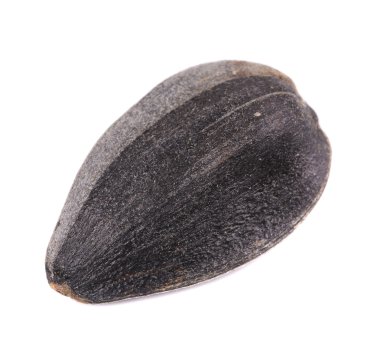 siyah sonflower tohum.