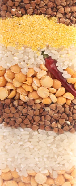 Närbild av korn textur mix. — Stockfoto