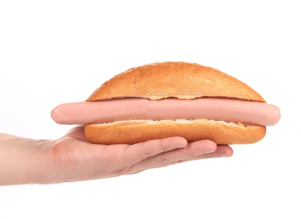 Hand houdt grote hotdog. — Stockfoto