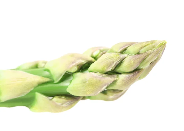 Close up of fresh asparagus spear. — Stock Photo, Image