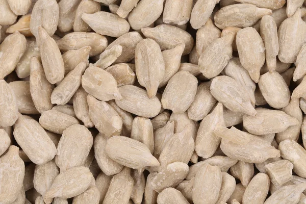 Background of sunflower seeds. — Stock Photo, Image