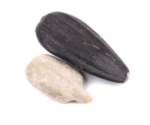 Black and white sonflower seed. — Stock Photo, Image