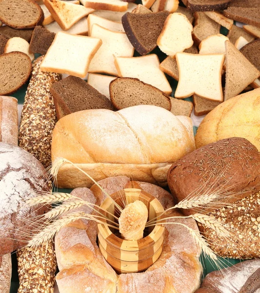 Composición de grano de pan fresco y trigo . — Foto de Stock