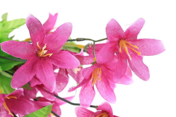 Primo piano del mazzo di fiori . — Foto Stock