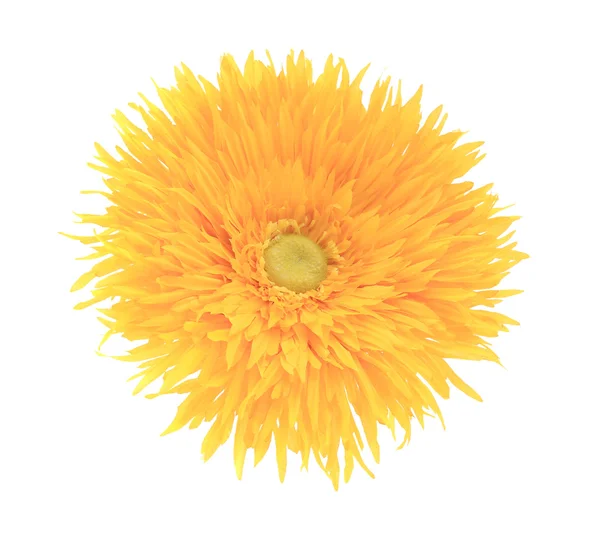 Close up of artificial yellow flower aster. — Stock Photo, Image