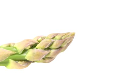 kuşkonmaz yakın çekim.