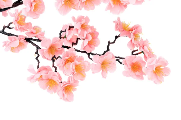 Branch of blooming artificial pink flowers. — Stock Photo, Image