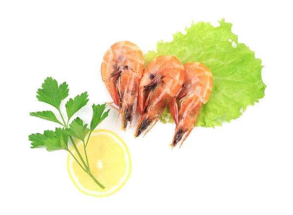 Three fresh boiled shrimps. — Stock Photo, Image