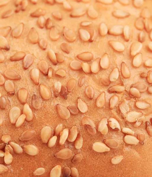 Bun with sesame seeds. — Stock Photo, Image