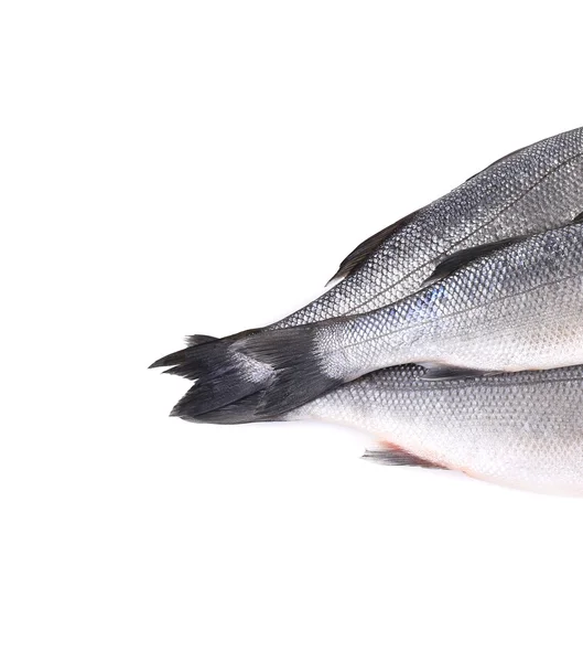 Close up of three tails fresh seabass fish. — Stock Photo, Image