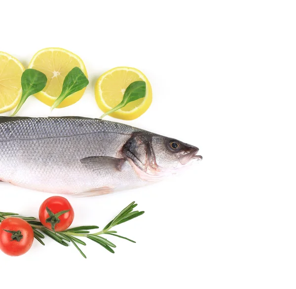 Färska havsabborre fisk med citron. — Stockfoto