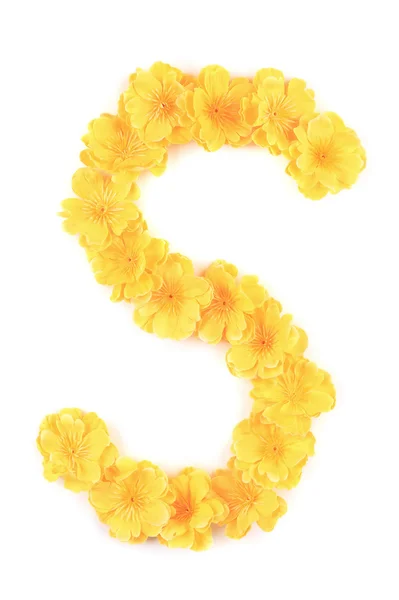 Letter S flower alphabet. — Stock Photo, Image