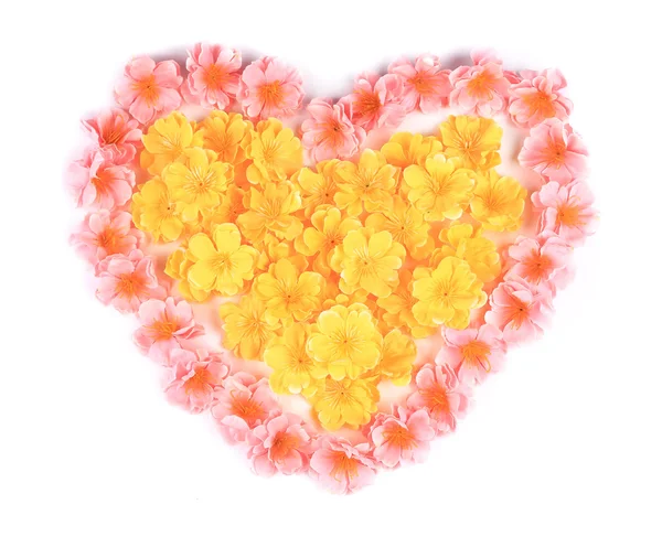 Pink flowers in form of heart. — Stock Photo, Image