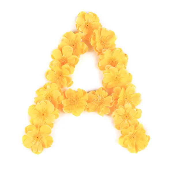 Dopis abeceda květin. — Stock fotografie