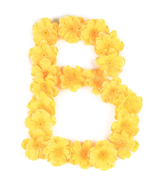 Letter B flower alphabet. — Stock Photo, Image