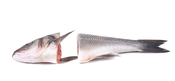 Seabass head and tail close up. — Stock Photo, Image