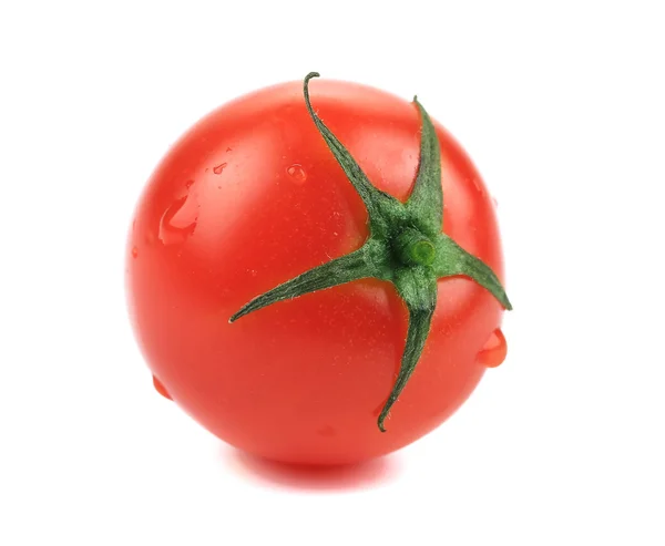 Fresh tomato with water drops. — Stock Photo, Image