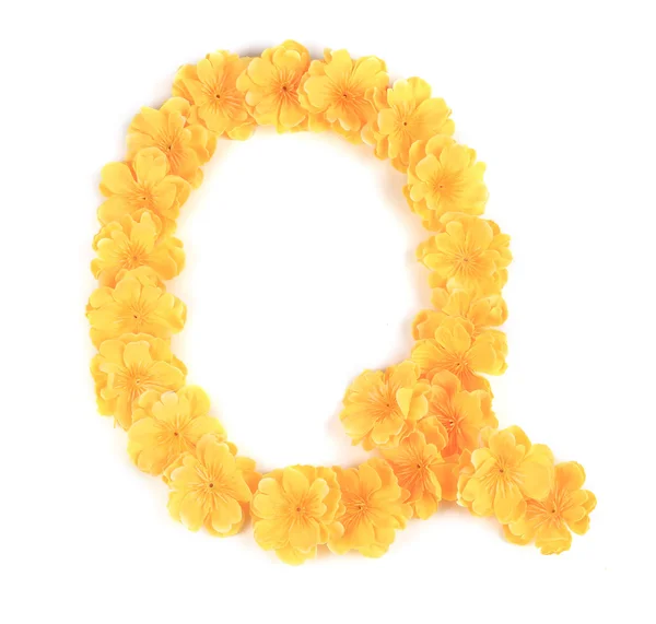 Litera q kwiat alfabet. — Zdjęcie stockowe