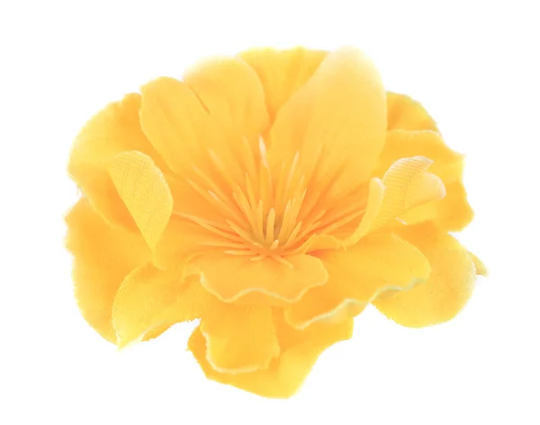Крупный план желтого цветка. — стоковое фото