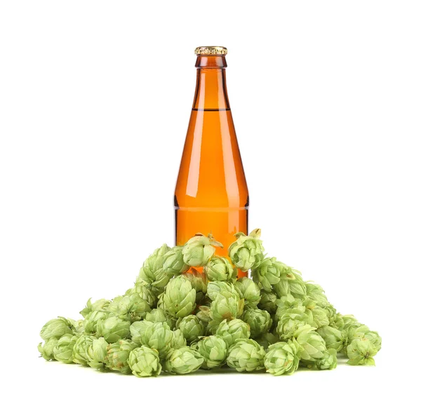 Birra botlle e luppolo verde — Foto Stock
