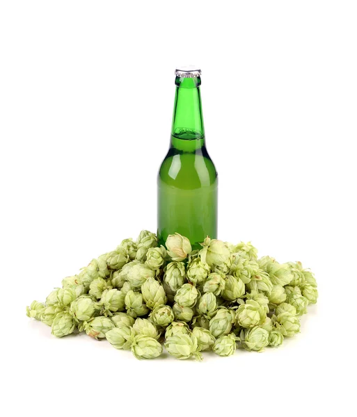 Bierflasche und grüner Hopfen — Stockfoto