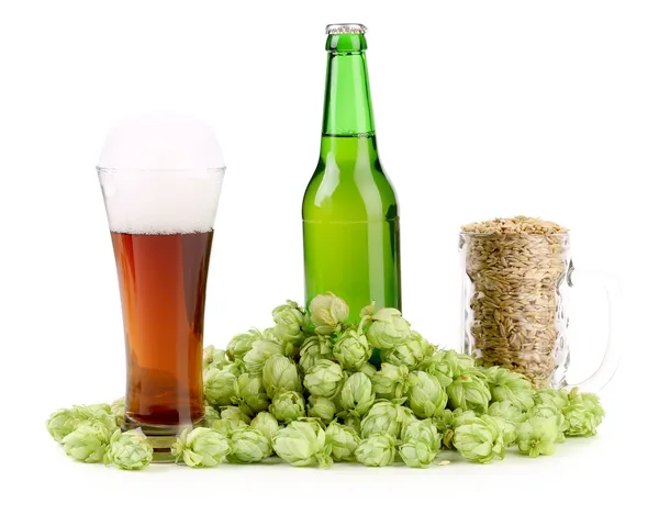 Composition of hop and barley — Stock Photo, Image