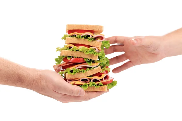 Tasty sandwich in hands — Stock Photo, Image