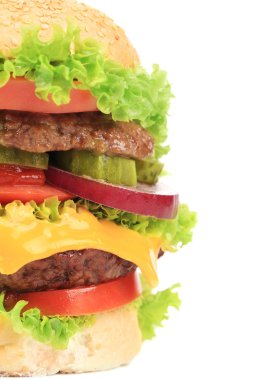 taze hamburger