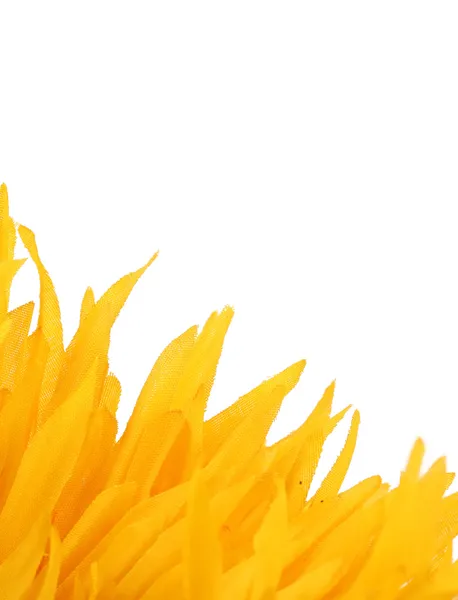 Yellow flower petals — Stock Photo, Image